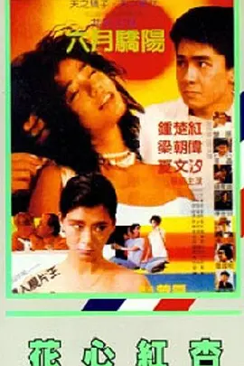 国产午夜视频在线观看